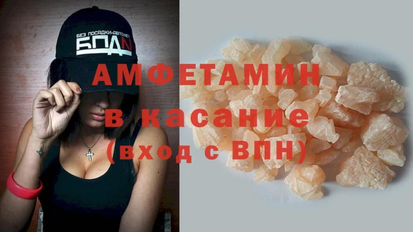 индика Кинешма