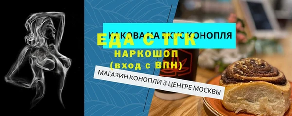 индика Кинешма