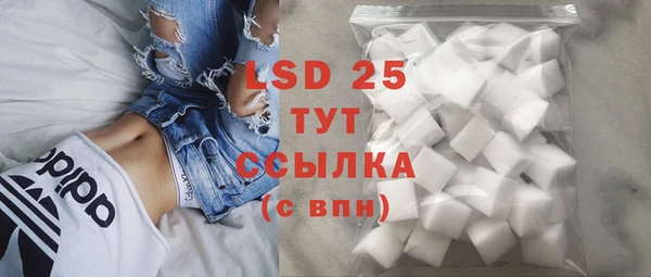 индика Кинешма