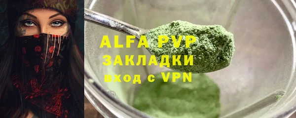 индика Кинешма