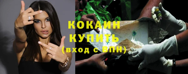 индика Кинешма