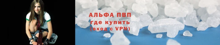 индика Кинешма