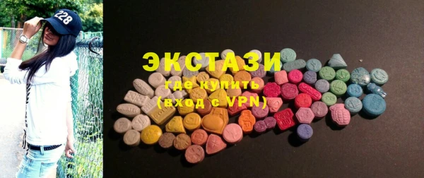индика Кинешма