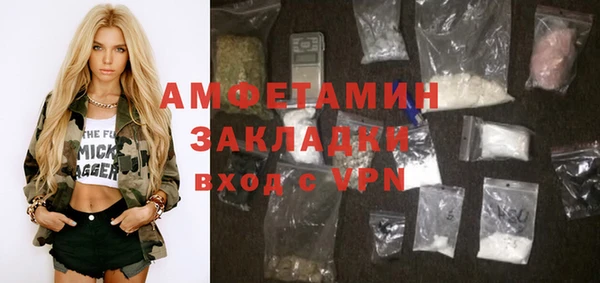 индика Кинешма
