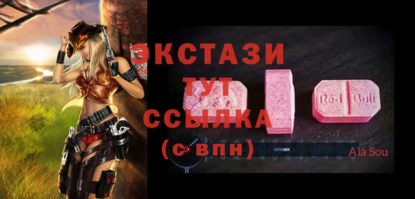 индика Кинешма