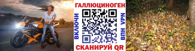 Галлюциногенные грибы прущие грибы  Купить где  Демидов 